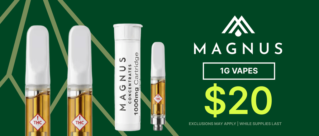 1G Vapes for $20