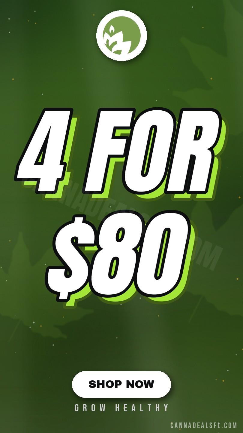 4 for $80