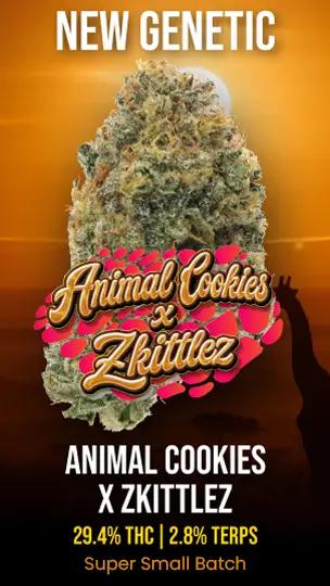 New Genetic: Animal Cookies x Zkittlez - Cannabis deal image