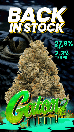 Gator Breath Flower Back In Stock - Cannabis deal image