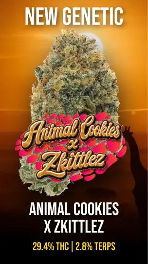 New Genetic: Animal Cookies x Zkittlez - Cannabis deal image
