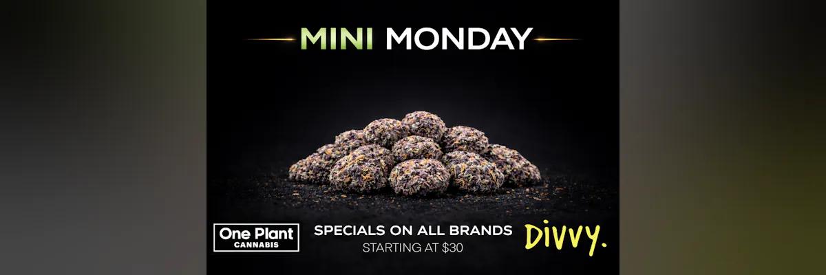 Mini Monday Deals Starting at $30