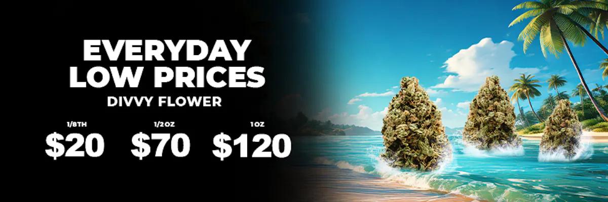 Everyday Low Prices on Divvy Flower