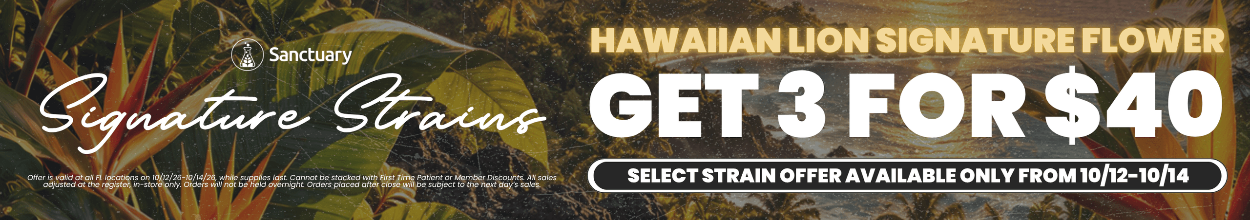 Hawaiian Lion Signature Flower Deal