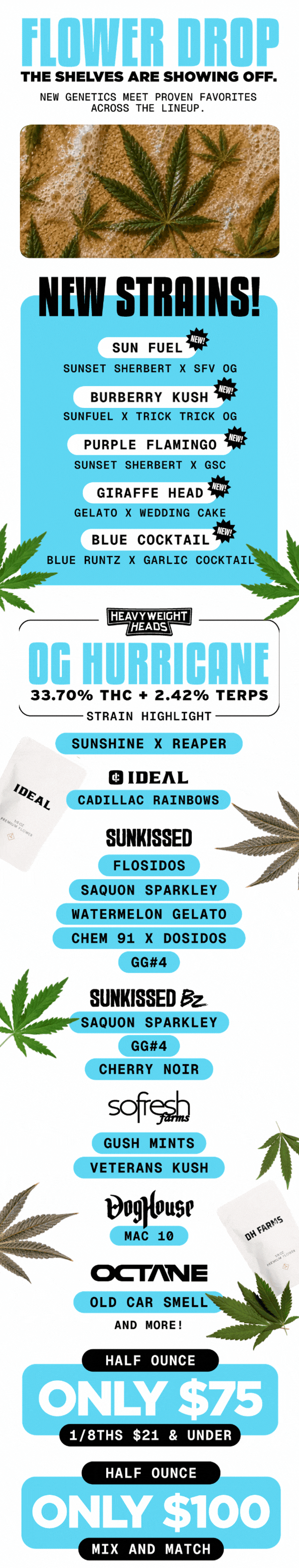 Flower Drop Deals & New Strains Highlighted