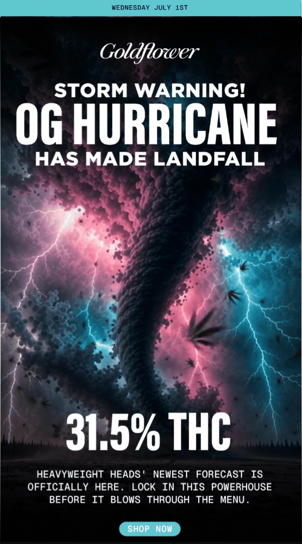 OG Hurricane: 31.5% THC Powerhouse - Cannabis deal image