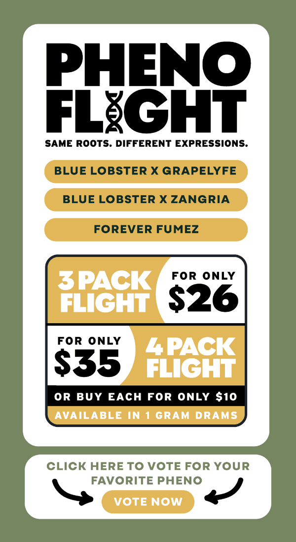 Pheno Flights from $26