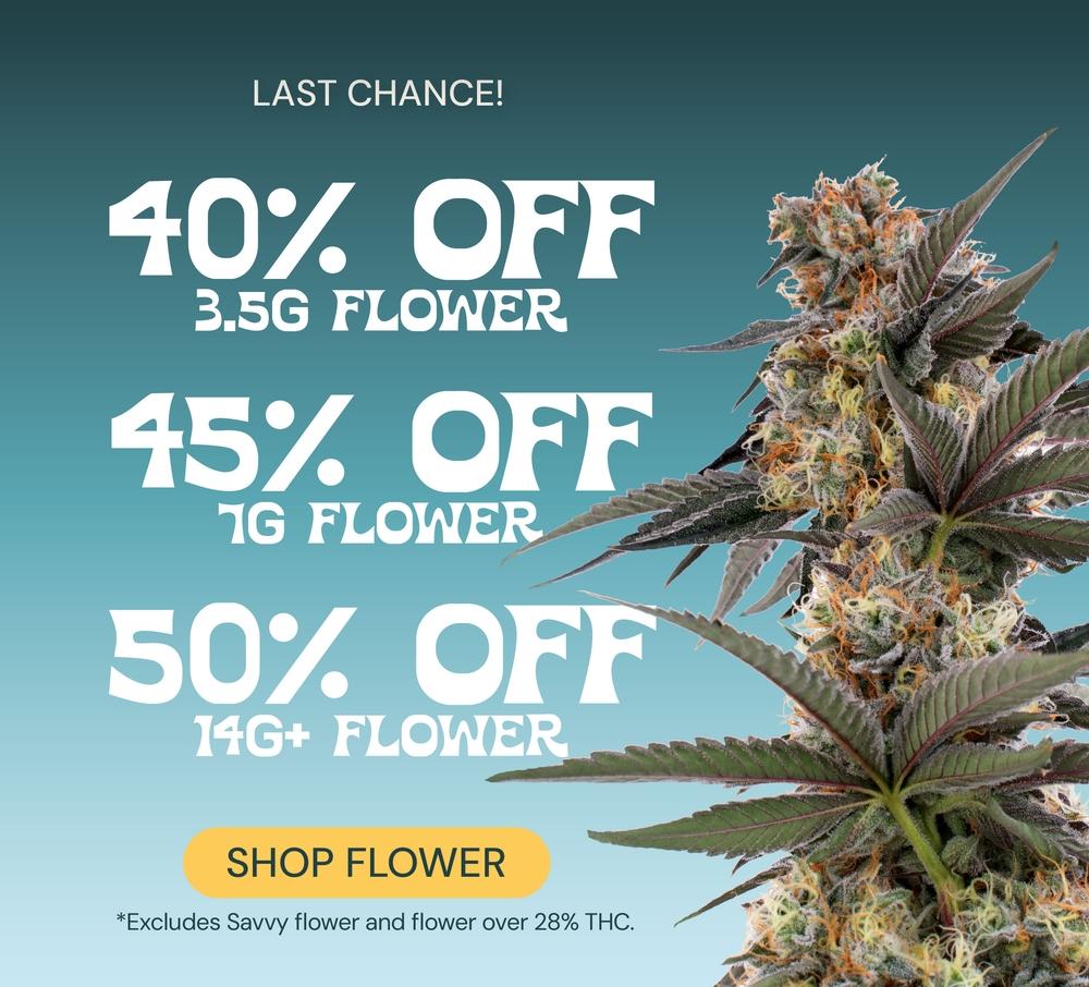 Last Chance Flower Deals!