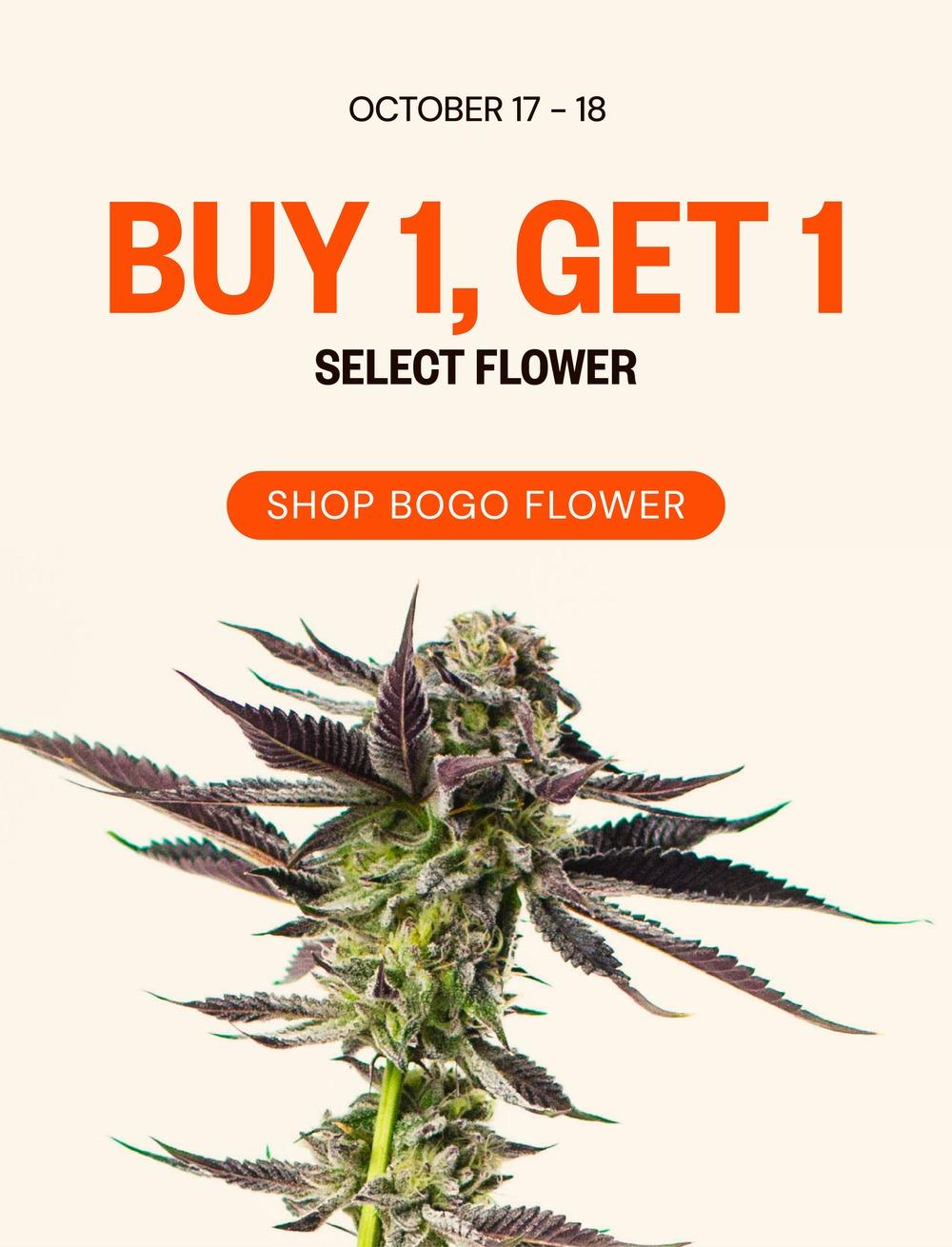 Buy 1 Get 1 Select Flower