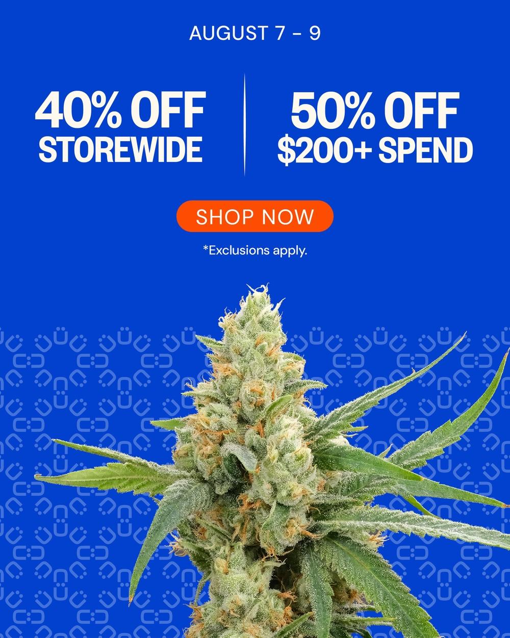 40% Off Storewide & 50% Off $200+