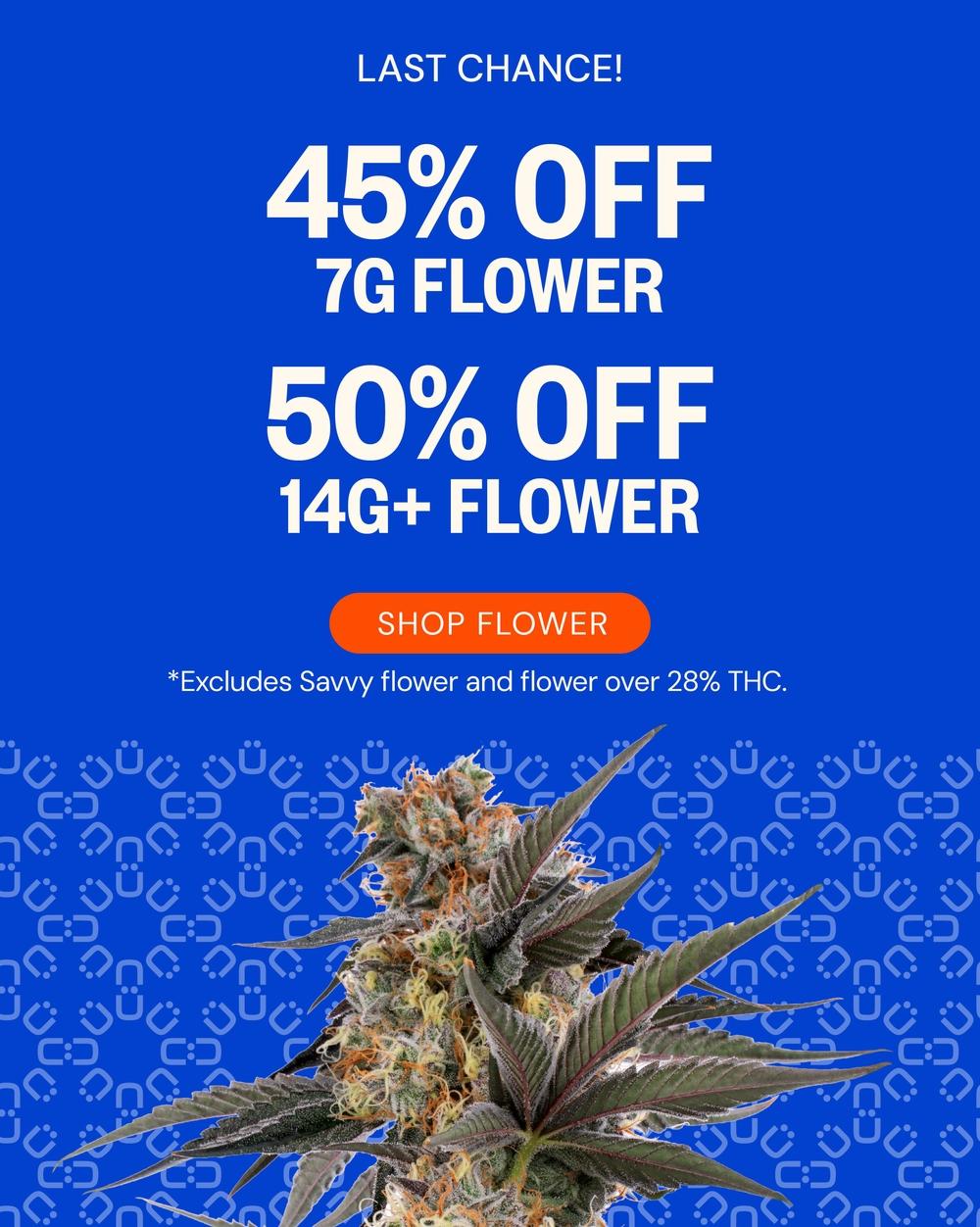 Last Chance Flower Deals