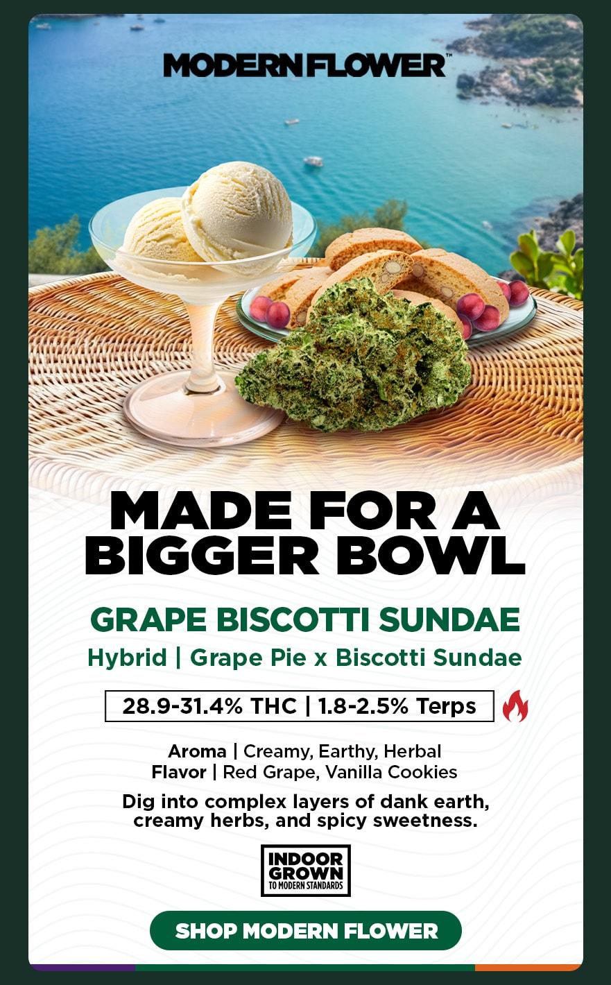 Grape Biscotti Sundae Hybrid Flower