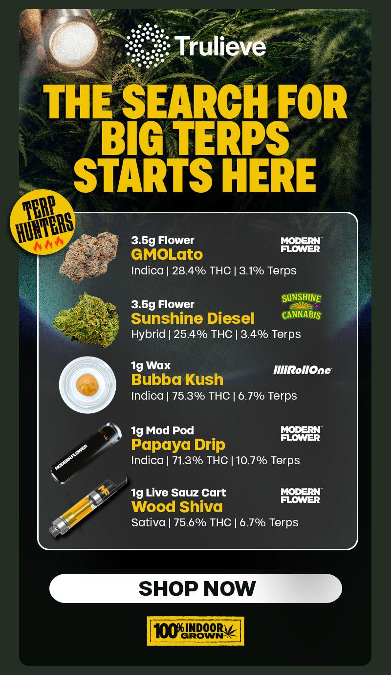 The Search For Big Terps Starts Here - Cannabis deal image
