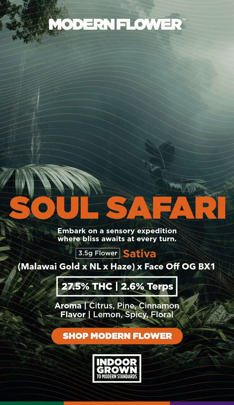 Showcasing Soul Safari Flower - Cannabis deal image