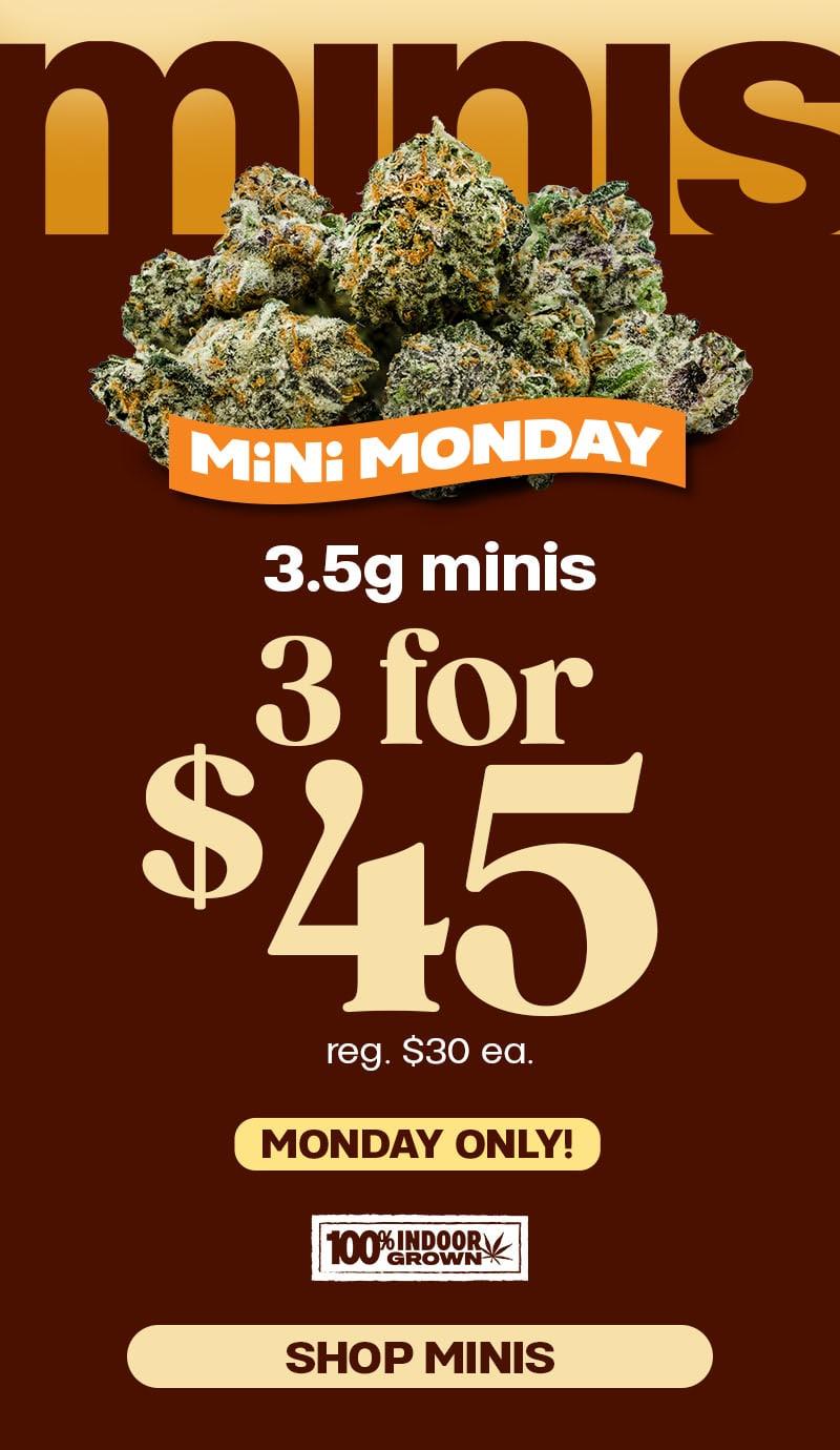 Monday Mini Deals