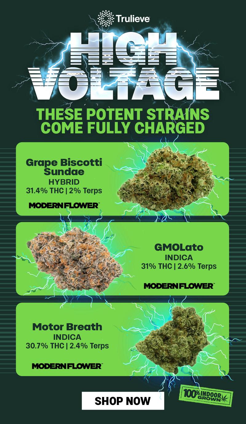 High Voltage Potent Strains Showcase - Cannabis deal image