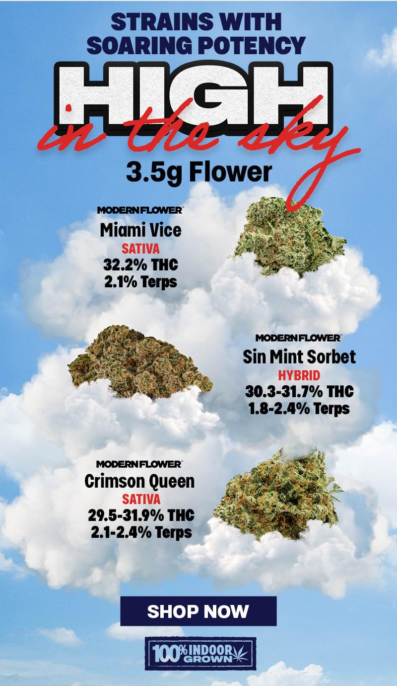 Modern Flower Strains: High Potency Flower Deals - Cannabis deal image