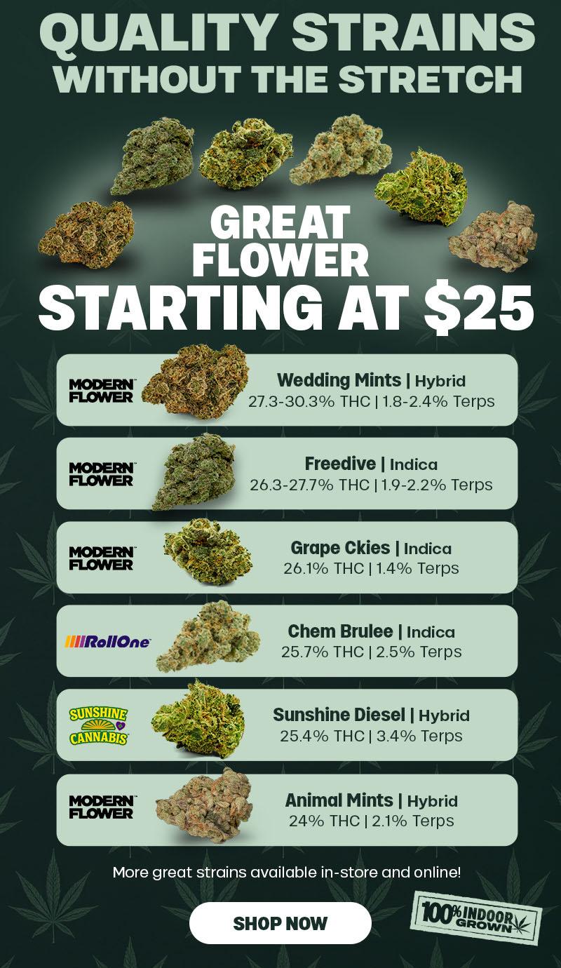 Great Flower Starting At $25