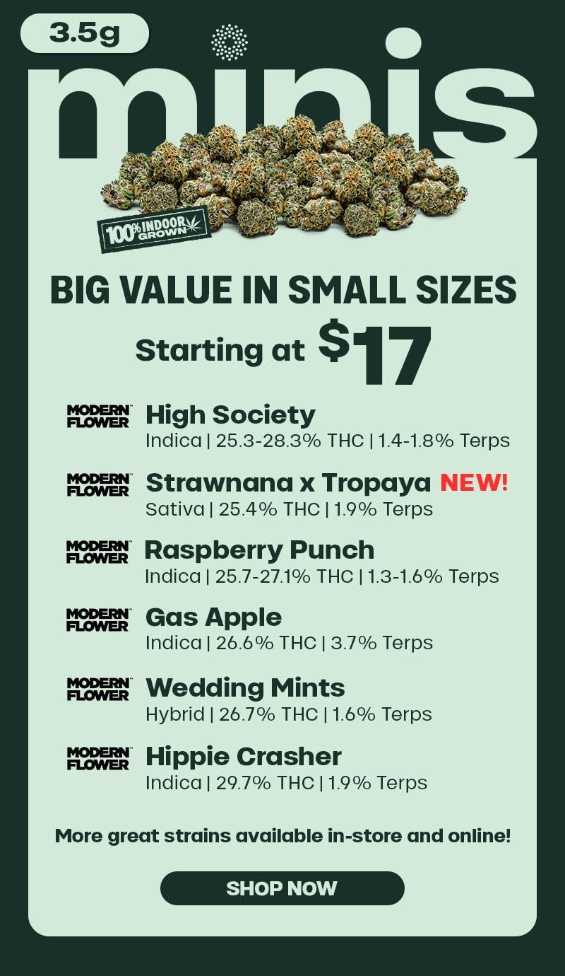 3.5g Minis Starting at $17 - Cannabis deal image