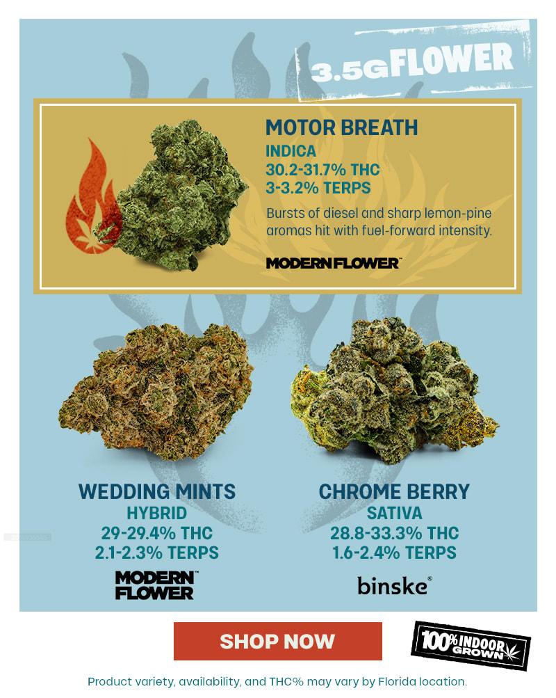 Featured 3.5G Flower from Modern Flower & Binske - Cannabis deal image