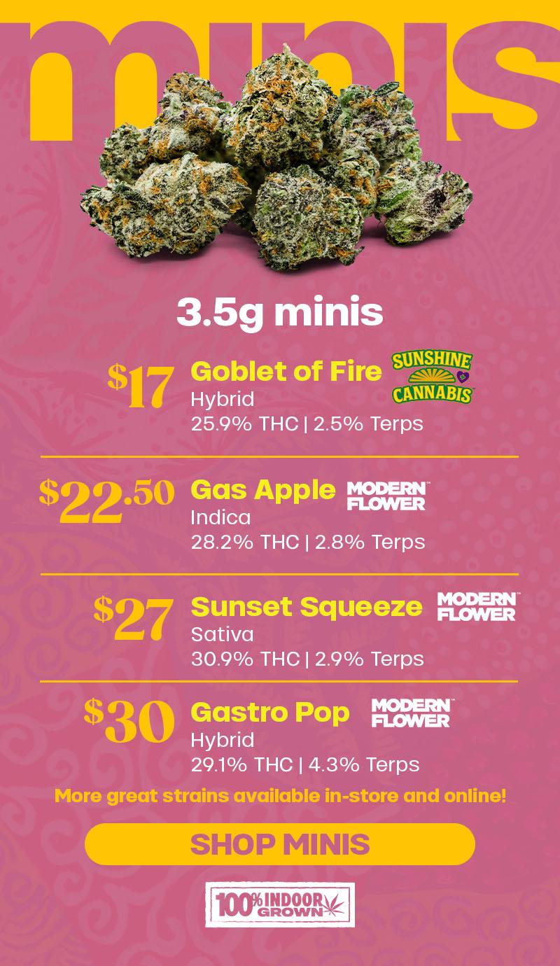 Featured Minis with Pricing