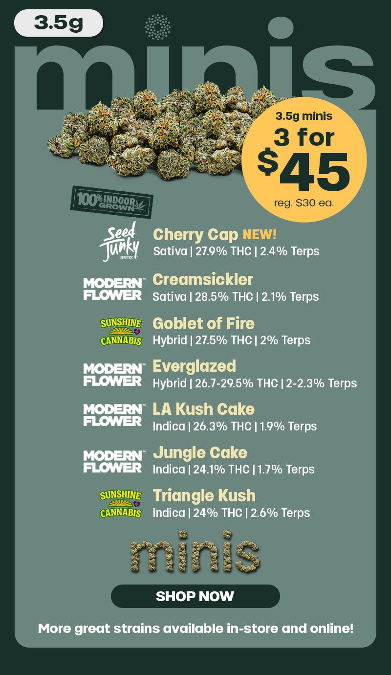 Minis 3 for $45 & Regular Pricing