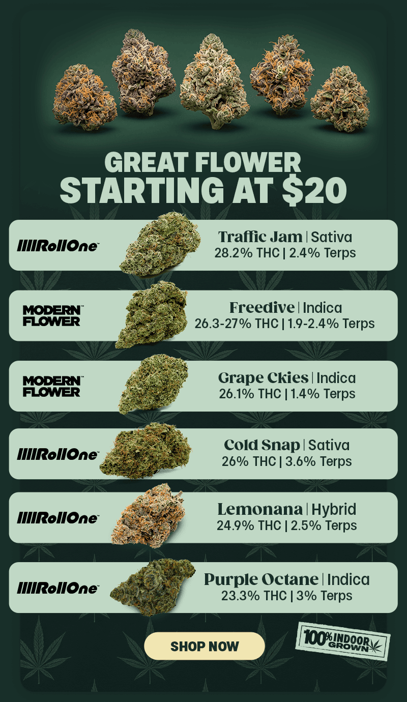 Great Flower Starting At $20