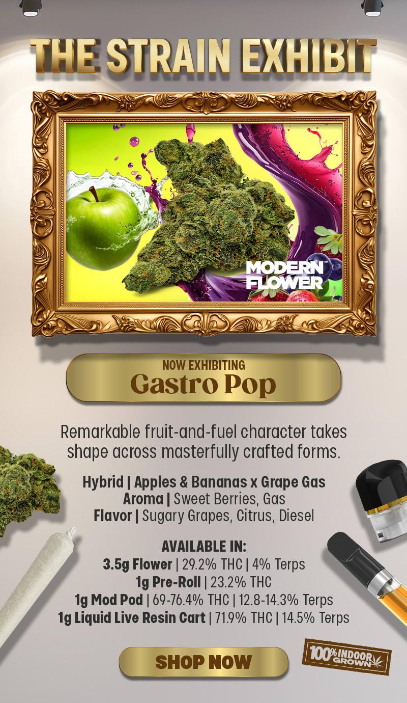 Featured Gastro Pop Strain Exhibits