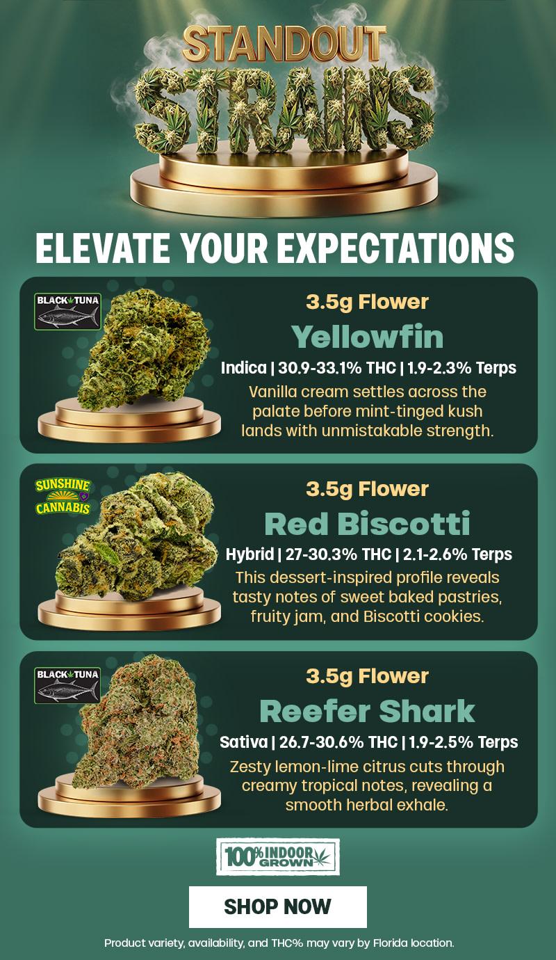 Standout Strains: Premium Flower Showcase