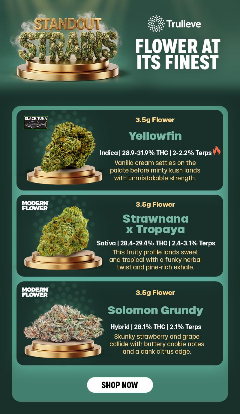 Standout Strains: Flower at Its Finest