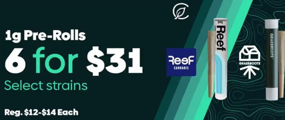 6 Pre-Rolls for $31 & More Deals - Cannabis deal image