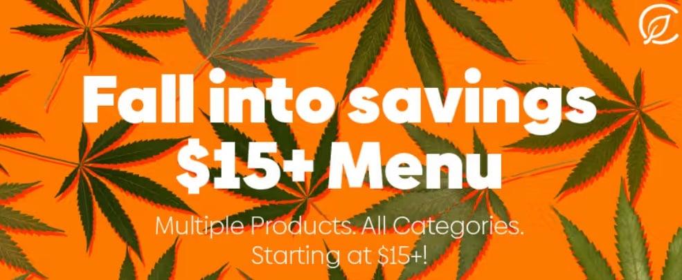 Fall Into Savings: Products Starting at $15+