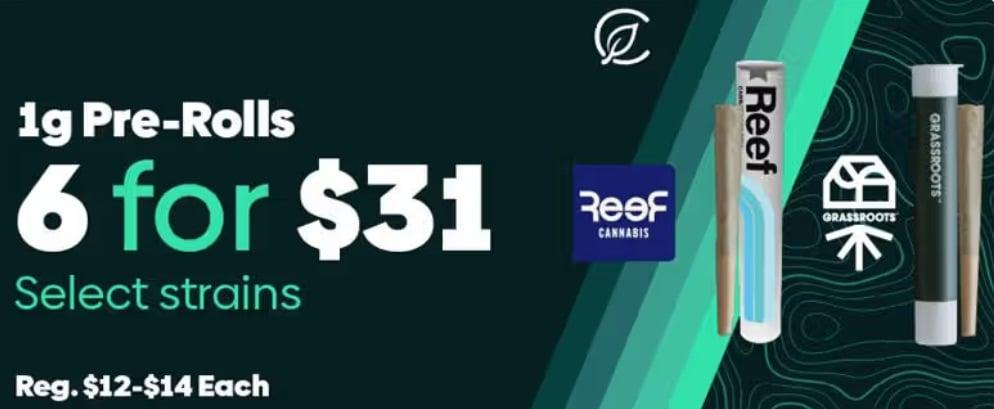 6 Pre-Rolls for $31 & Regular Prices - Cannabis deal image