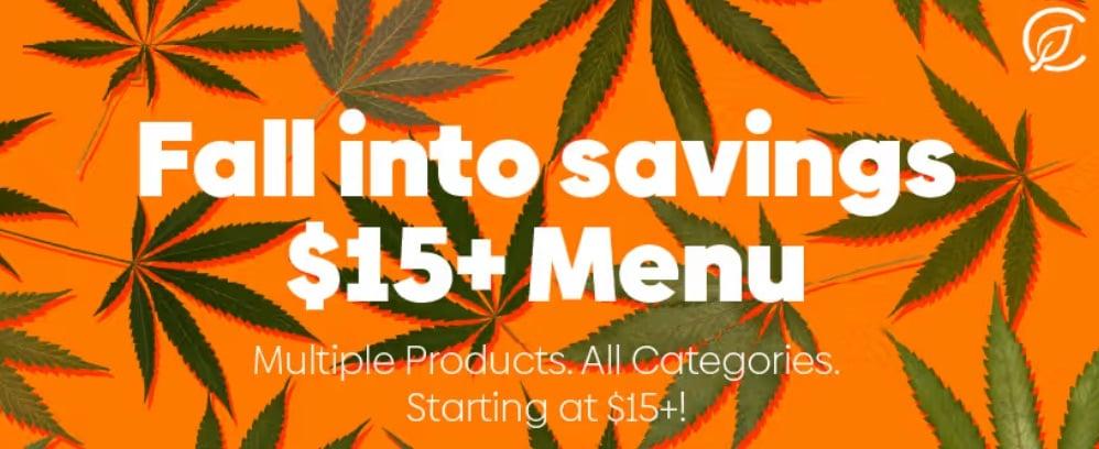 Fall Into Savings With $15+ Menu