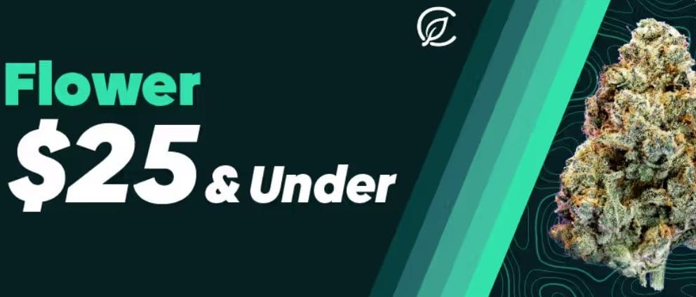 Flower Deals $25 and Under