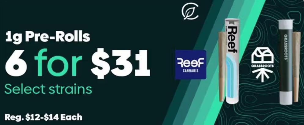 6 1g Pre-Rolls for $31 Deal