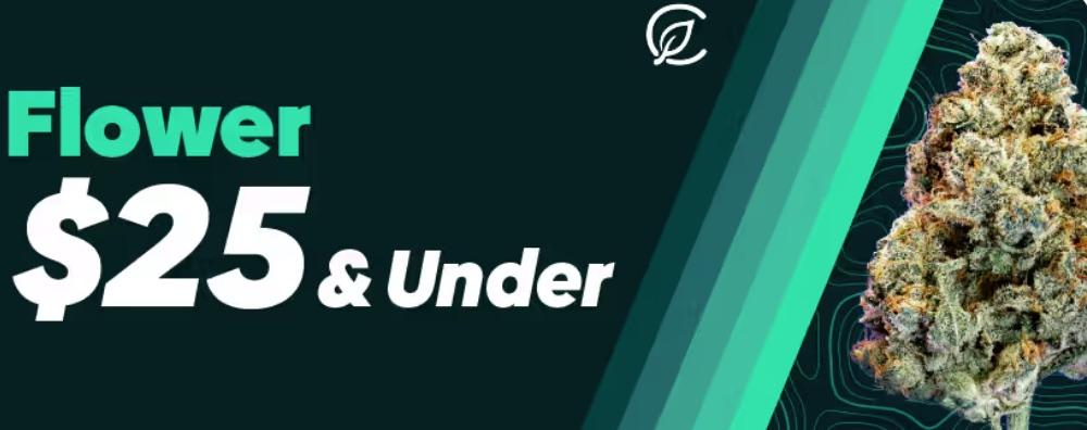 Flower Deals $25 and Under