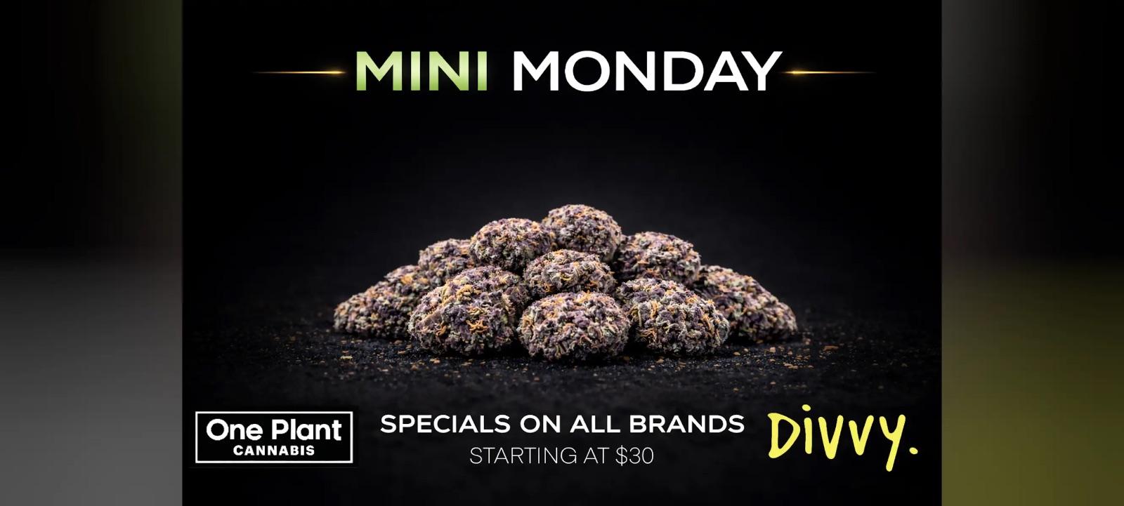 Mini Monday Specials Starting At $30