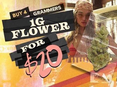 Buy 4 Grams of Flower for $20 - Cannabis deal image