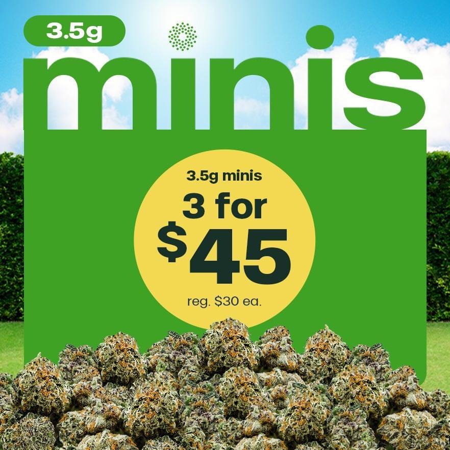 3.5g Minis 3 for $45 Deal - Cannabis deal image