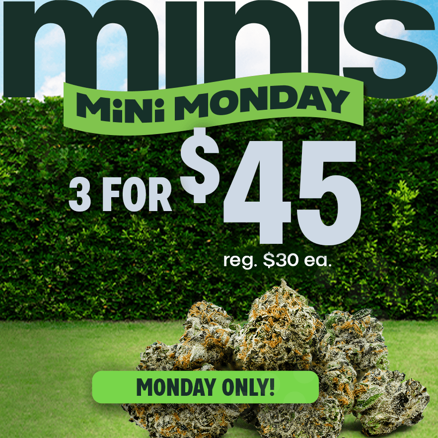 Mini Monday 3 for $45 Deal