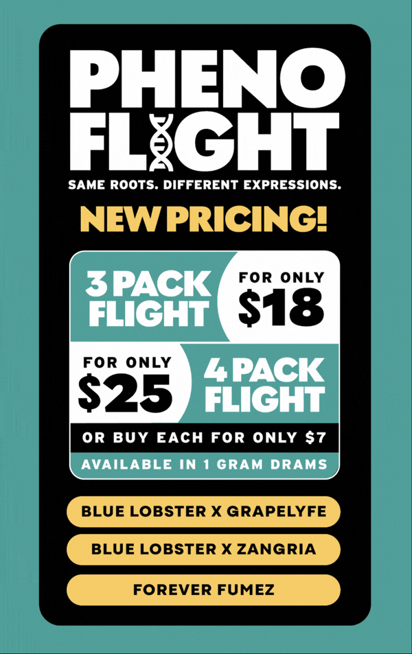 New Pricing: 3-Pack $18 & 4-Pack $25 - Cannabis deal image