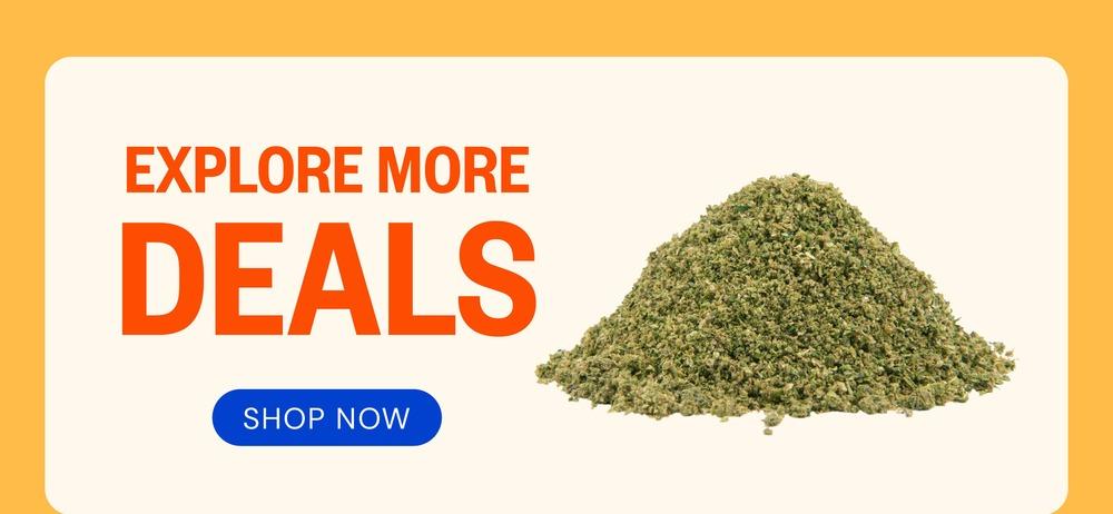 Explore More Deals: Shop Now!