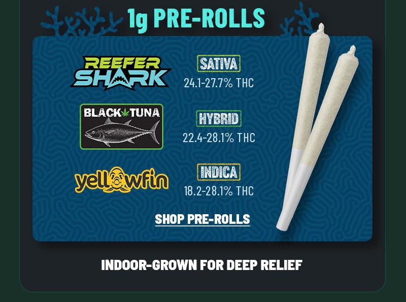 1g Pre-Rolls: Sativa, Hybrid & Indica - Cannabis deal image