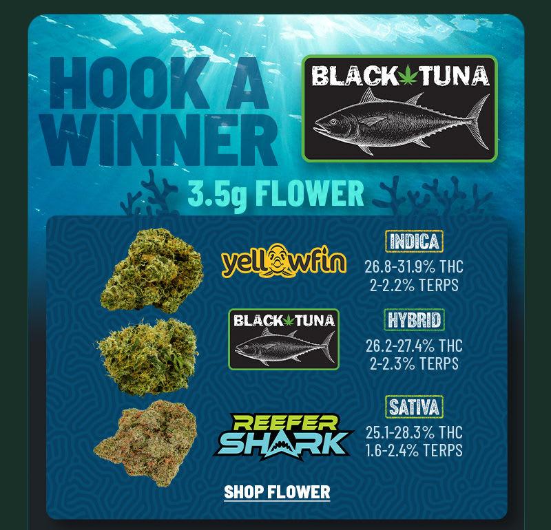 Hook A Winner: Premium 3.5g Flower Selection - Cannabis deal image