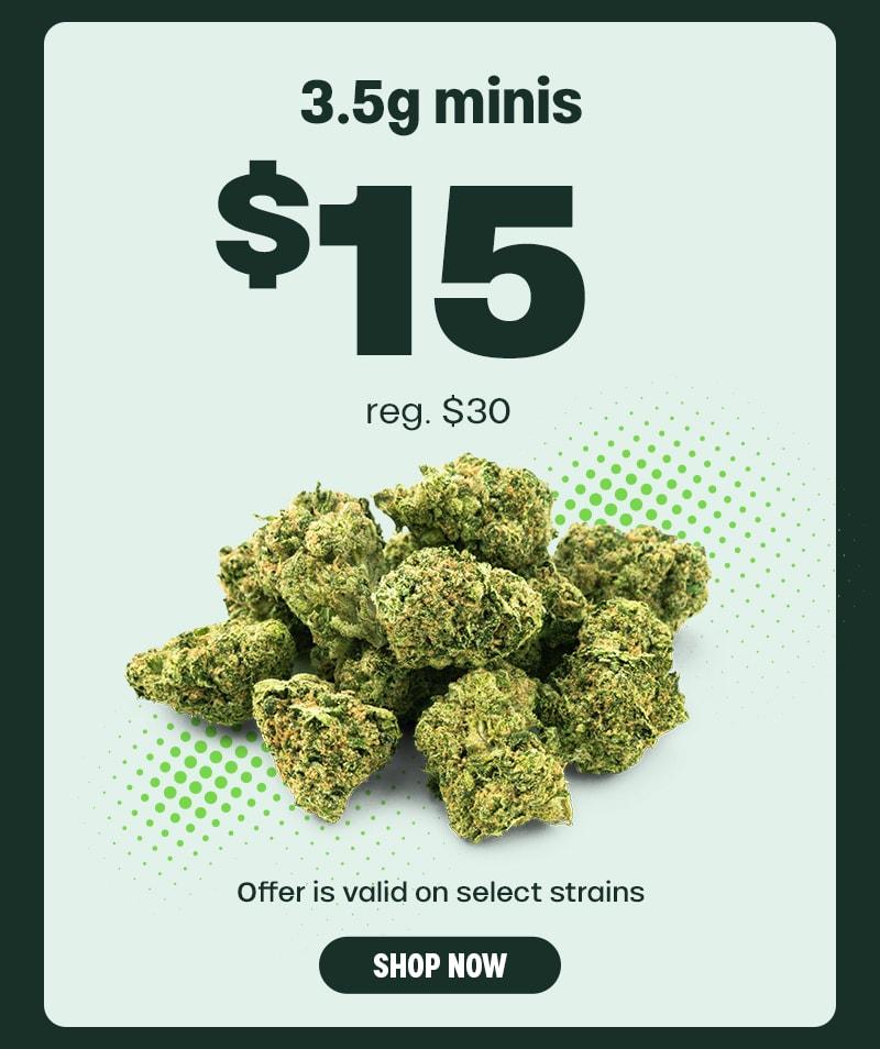 3.5g Minis for $15 - Cannabis deal image