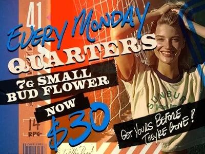 Monday 7G Small Bud Flower for $30